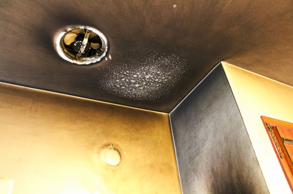 Smoke Damage Remediation in Xenia